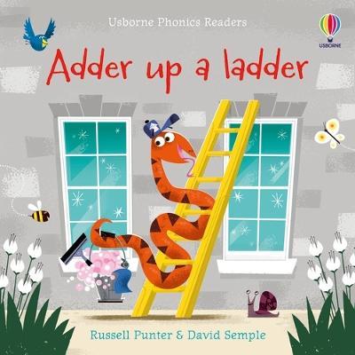 Εκδόσεις  Usborne - Adder up a ladder - Author(s) Russell Punter