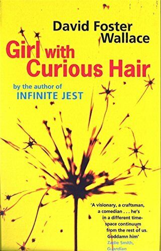Εκδόσεις Little, Brown Book Group - Girl With Curious Hair - David Foster Wallace