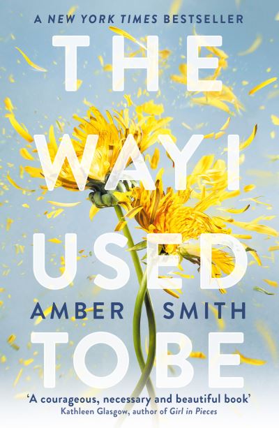 Εκδόσεις Oneworld Publications - The Way I Used To Be - Amber Smith