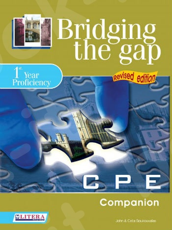 Bridging The Gap 1 - Companion