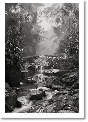 Εκδόσεις Taschen - Salgado.Amazônia.Poster ‘Greek’