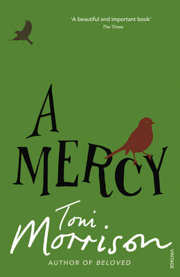 Εκδόσεις Vintage - A Mercy - Toni Morrison