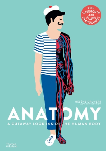 Εκδόσεις Thames & Hudson Ltd - Anatomy: A Cutaway Look Inside the Human Body - Hélène Druvert