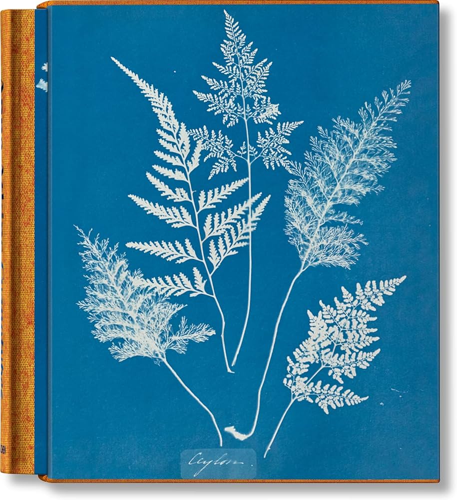 Publisher:Taschen - Anna Atkins. Cyanotypes (Taschen XXL) - Peter Walther