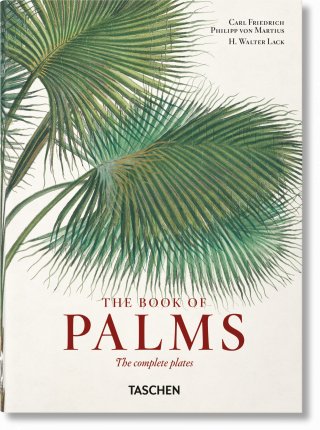 Publisher Taschen - Martius. The Book of Palms (Taschen 40th Edition) - H. Walter Lack