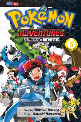Pokemon adv b   w 05 pa