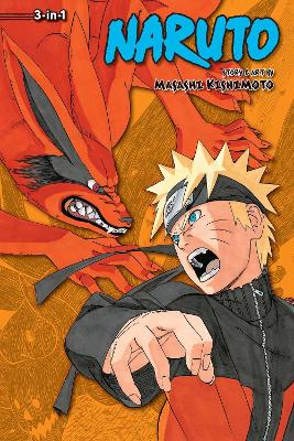 Naruto 3-in-1 ed v17 pa