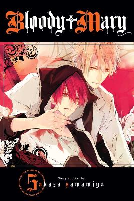 Bloody Mary 05  pa