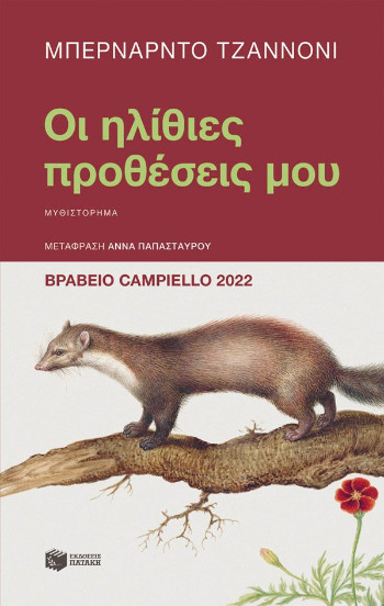 Οι ηλίθιες προθέσεις μου - Zannoni Bernardo
