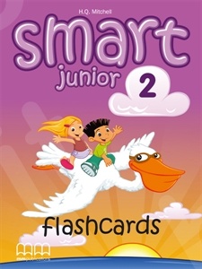 Smart Junior 2  - Flashcards