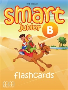 Smart Junior B  - Flashcards