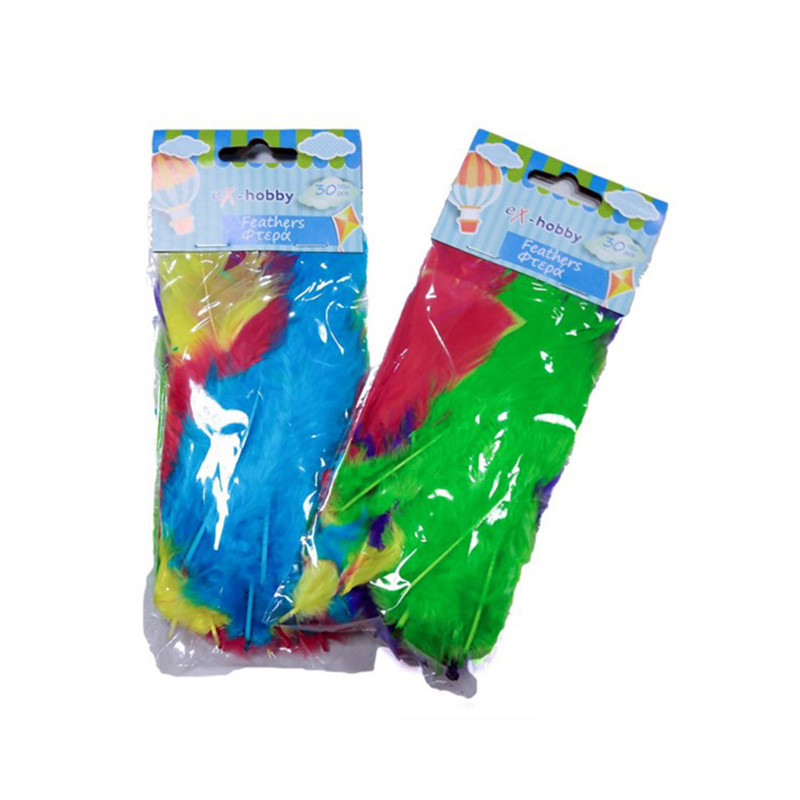 Φτερά eX-HOBBY Μεγάλα Χειροτεχνίας (30τμχ)