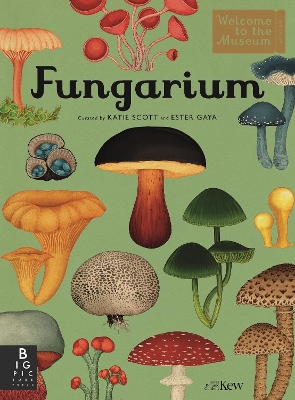 Welcome to the Museum: Fungarium