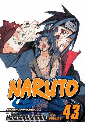 Naruto (Vol.43) - Masashi Kishimoto