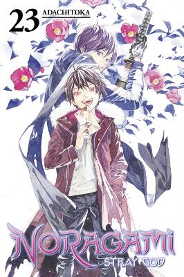 Noragami Stray god gn vol 23 (Res) (Mr) (c: 1-1-1)