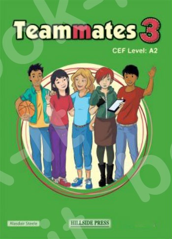 Teammates 3 - Grammar
