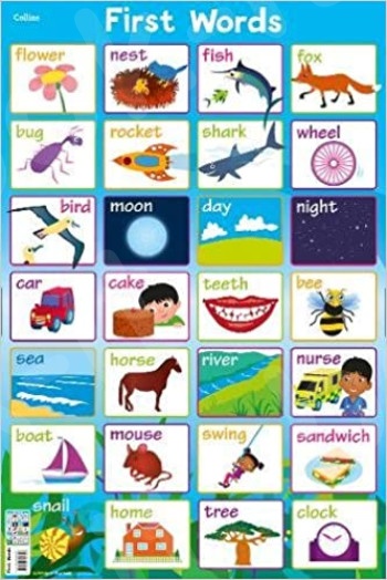 First Phonics (Collins Children’s Poster) -  Collins