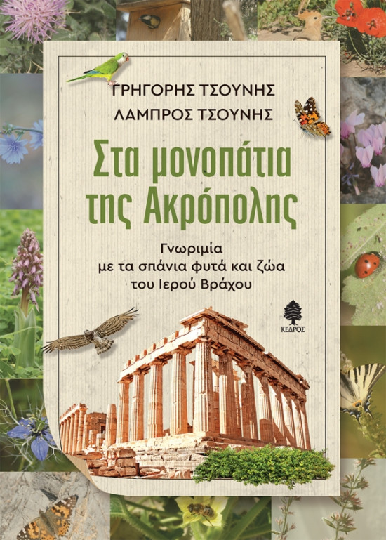 Εκδόσεις Κέδρος -Στα μονοπάτια της Ακρόπολης- Συγγραφέας:Γρηγόρης & Λάμπρος Τσούνης