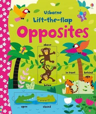 Publisher:Usborne - Lift-the-Flap Opposites - Felicity Brooks